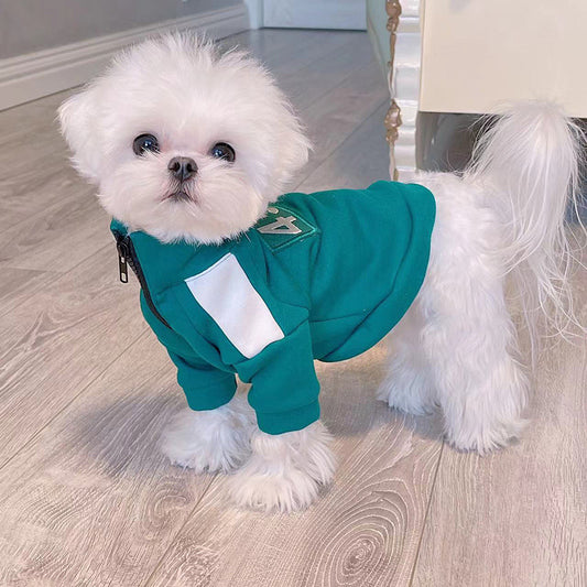Collection de vêtements pour chats et chiens – Ambiance automne-hiver